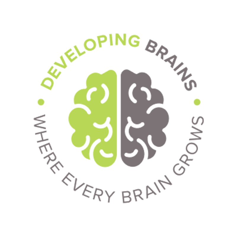 Developing Brains